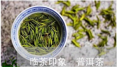 临茶印象 普洱茶/2023041028380